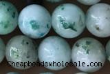 CHRY20 15 inches 6mm round chrysocolla gemstone beads