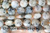 COIN100 15 inches 12mm faceted coin sunstone beads