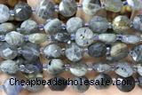 COIN20 15 inches 10mm faceted coin labradorite gemstone beads