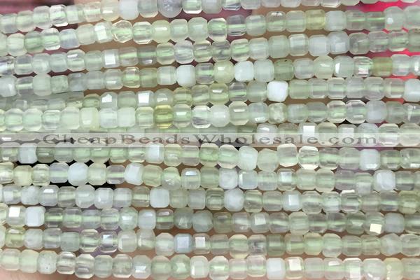 CUBE81 15 inches 3mm faceted cube prehnite gemstone beads