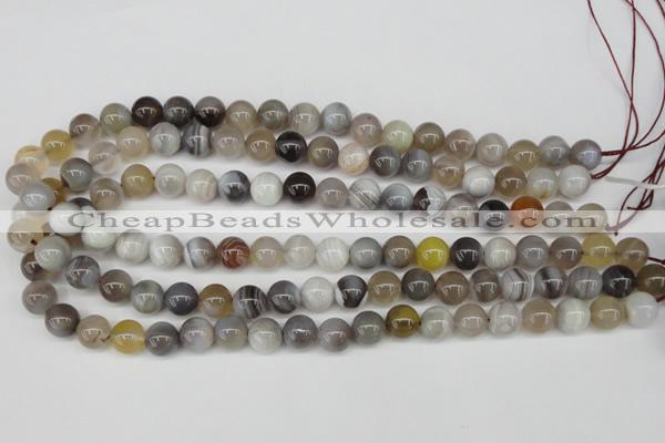 CAA225 15.5 inches 10mm round botswana agate gemstone beads