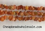 CAA3806 15.5 inches 4*6mm - 8*10mm chips red agate beads wholesale