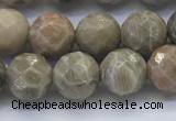 CAA3962 15.5 inches 8mm faceted round chrysanthemum agate beads