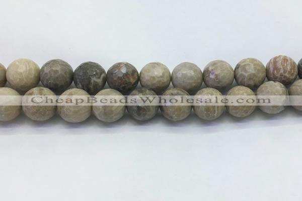 CAA3966 15.5 inches 16mm faceted round chrysanthemum agate beads