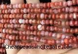 CAA4560 15.5 inches 4*5mm rondelle south red agate beads