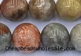 CAA5812 15 inches 10mm round chrysanthemum agate beads