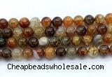 CAA6113 15.5 inches 10mm round dragon vein agate gemstone beads