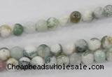 CAA700 15.5 inches 6mm round tree agate gemstone beads wholesale