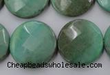 CAG1615 15.5 inches 25mm faceted coin green grass agate beads