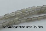 CAG3560 15.5 inches 4*6mm rice grey agate gemstone beads