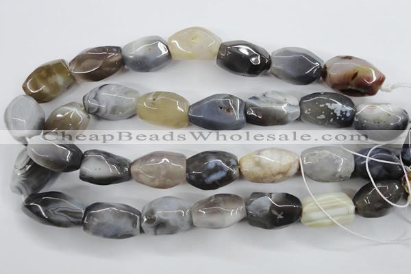 CAG3730 15.5 inches 18*25mm faceted nuggets botswana agate beads