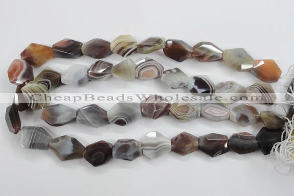 CAG3732 15*18mm – 20*23mm faceted freeform botswana agate beads