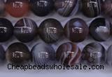 CAG5953 15.5 inches 10mm round botswana agate beads wholesale