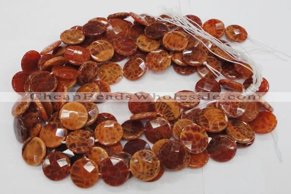 CAG639 15.5 inches 20mm faceted coin natural fire agate beads