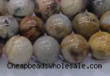 CAG6673 15.5 inches 10mm round natural crazy lace agate beads