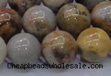 CAG6676 15.5 inches 16mm round natural crazy lace agate beads