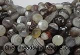 CAG749 15.5 inches 6mm faceted coin botswana agate beads wholesale