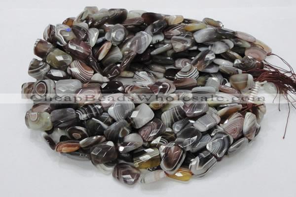 CAG760 15.5 inches 14*18mm faceted rectangle botswana agate beads