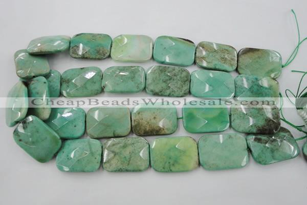 CAG7928 15.5 inches 30*40mm faceted rectangle grass agate beads