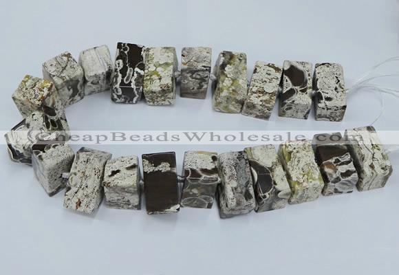 CAG9750 15.5 inches 15*28mm - 17*30mm cuboid ocean agate beads