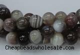 CAG982 15.5 inches 14mm round botswana agate beads wholesale