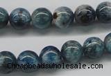 CAP06 15.5 inches 10mm round apatite gemstone beads wholesale