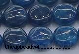 CAP382 15.5 inches 12mm flat round apatite gemstone beads