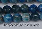 CAP412 15.5 inches 8mm round apatite gemstone beads wholesale