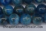 CAP413 15.5 inches 10mm round apatite gemstone beads wholesale