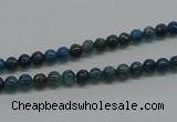 CAP51 15.5 inches 4mm round dyed apatite gemstone beads wholesale