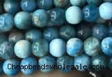 CAP576 15.5 inches 4mm round apatite beads wholesale