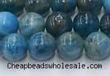 CAP630 15.5 inches 6mm round apatite beads wholesale