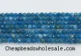 CAP705 15.5 inches 6mm faceted round apatite gemstone beads wholesale