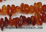 CAR116 16 inches 3*8mm - 4*10mm natural amber chips beads