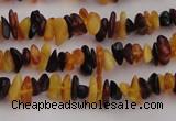 CAR204 24 inches 3*8mm natural amber chips beads wholesale