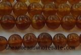 CAR526 15.5 inches 5mm - 6mm round natural amber beads wholesale