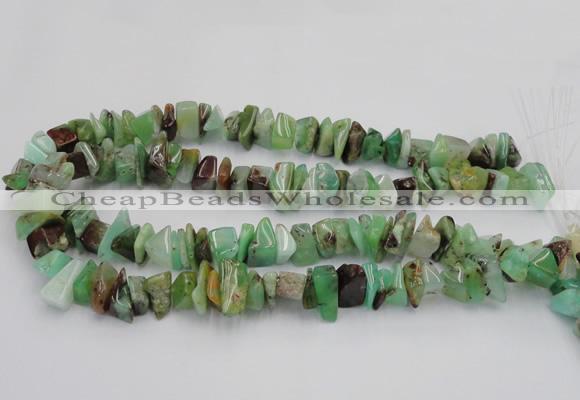 CAU408 15.5 inches 5*10mm - 10*15mm Australia chrysoprase chips beads