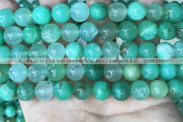 CAU445 15.5 inches 11mm round Australia chrysoprase beads