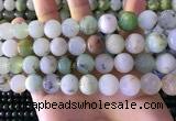 CAU464 15.5 inches 13mm - 14mm round Australia chrysoprase beads