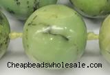 CAU544 15.5 inches 16mm round Australia chrysoprase gemstone beads