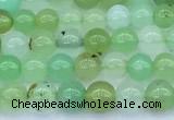 CAU569 15 inches 5mm round Australia chrysoprase beads