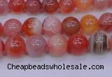 CBC402 15.5 inches 8mm A grade round orange chalcedony beads