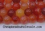 CBC413 15.5 inches 10mm AA grade round orange chalcedony beads