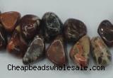 CBD16 15.5 inches 8*12mm chip brecciated jasper gemstone beads