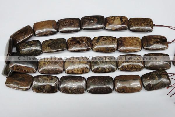 CBZ78 15.5 inches 20*30mm rectangle bronzite gemstone beads