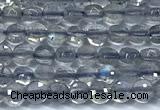 CCB1352 15 inches 2.5mm faceted coin labradorite beads