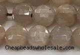 CCB705 15.5 inches 6mm faceted coin moonstone gemstone beads