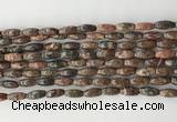 CCB810 15.5 inches 5*12mm rice leopard skin jasper beads wholesale