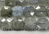 CCB901 15.5 inches 6*6mm faceted square labradorite beads