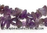 CCH12 35 inches purple amethyst chips gemstone beads wholesale